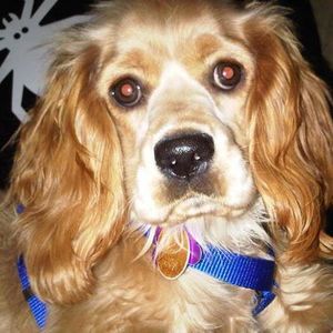 Meet your Posher, Bryan